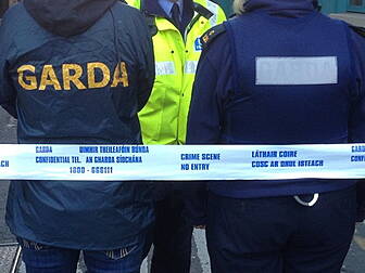 Man dies in Dublin stabbing